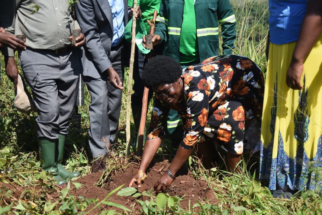 Celebrating International Biodiversity Day: ATC Uganda joins NEMA and NFA to restore Mabira Forest